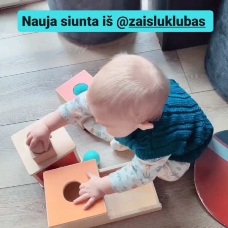 Žaislų klubas prenumeruoti